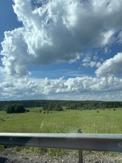 The image depicts a wide-angle view of a rural landscape under a dynamic sky. In the foreground, a metallic guardrail, likely part of a road, runs horizontally across the lower portion of the frame. Beyond the guardrail, a vast, green field stretches out, dotted with tall grasses and scattered smaller trees. In the middle ground, a dense forest forms a dark green line against the horizon. The sky above is a vibrant blue, filled with dramatic, fluffy white clouds that cast shadows and create a sense of depth and movement. The overall impression is one of natural beauty and open space. The specific location in the city of Челва, Russia, is not visually discernible from the image itself.