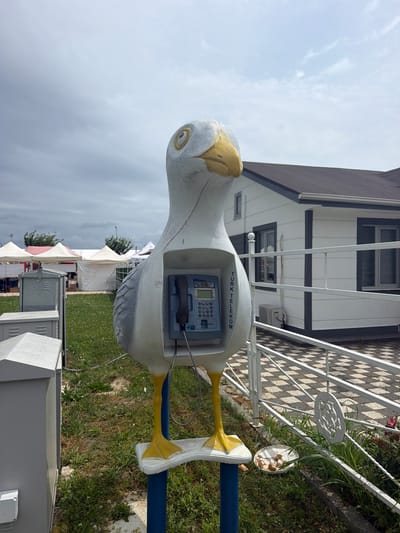 This image captures a whimsical, seagull-shaped public telephone booth situated outdoors in Tekirdağ, Turkey. The telephone, a model from Turk Telekom, is integrated into the body of the seagull sculpture. The seagull is painted white with yellow feet and beak, and its eyes are wide and alert. It stands on a blue pole, with its feet resting on a white platform.

In the background, a modern, white house with dark trim and a dark roof is visible. A white railing with a checkered pattern is in front of the house. To the left of the telephone booth, there are two grey electrical or utility boxes. Further in the distance, several white tents with red trim suggest a market or event space. The ground is covered in green grass and clover.

A small white plate with a few pieces of what appear to be food, possibly bread, is placed on the ground near the white railing, suggesting it might be intended for birds. The sky is overcast with grey clouds, hinting at a potentially changing weather. The overall scene combines an unusual public art installation with everyday urban elements and a touch of nature.