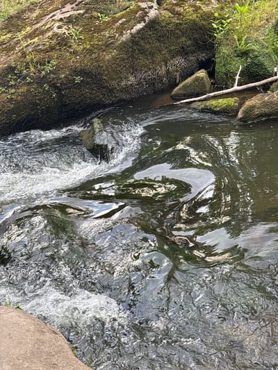 This is a top-down, close-up view of a fast-flowing river in Irrel, Germany. The water is dark and reflects the surrounding greenery and sky. The riverbed is composed of rocks of various sizes, some covered in moss. In the foreground, a large, smooth, light brown boulder is visible on the left. On the right side of the river, there are larger, moss-covered rocks, some of which are partially submerged. A thin, dry branch lies across the water, resting on the rocks. The water itself is turbulent, with visible ripples, whitewater, and swirling patterns, indicating a significant current. The overall impression is one of a natural, untamed river environment.