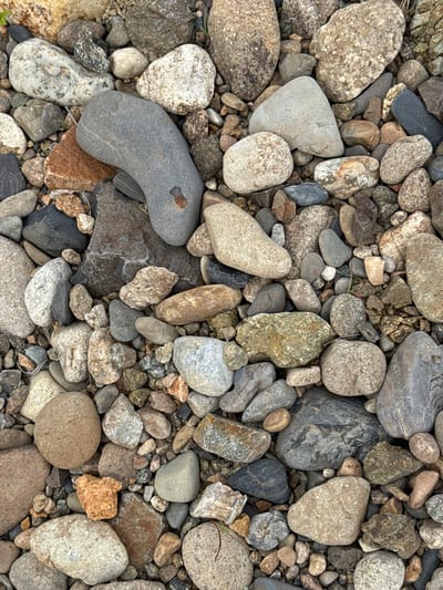 This is a top-down, close-up photograph of a variety of smooth, rounded stones and pebbles on a natural surface. The stones vary in size, color, and texture, with shades of grey, brown, white, and some reddish-orange hues. Some stones are speckled, while others have a more uniform color. The arrangement of the stones suggests they are part of a natural ground cover, such as a riverbed or a pathway. There are no people or animals visible in the image. The overall impression is one of natural elements and a textured, earthy surface. The specific location in Chuguyevka, Russia is not identifiable from the visual information provided in the image.