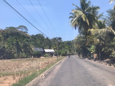 The scene depicts a rural road in Mataie, Indonesia, under a clear blue sky. Overhead, multiple black utility lines traverse horizontally across the upper third of the frame. The asphalt road, grey and somewhat worn, extends into the distance, curving slightly to the right. On the left side of the road, a dry, harvested field with light brown stubble occupies the foreground. Beyond the field, two single-story structures with dark roofs are visible, partially obscured by dense tropical vegetation. Further back, a steep, tree-covered hill rises, topped by a prominent single tree. On the right side of the road, abundant tropical foliage, including numerous tall palm trees, lines the roadside. A dark-colored motorcycle with one rider is observed on the road, traveling away from the camera. A red and white signpost, partially obscured, is visible on the right roadside. A lone individual appears to be standing near the second structure on the left.