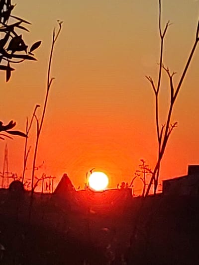 A silhouetted sunset over the town of Valverde de Leganés, Spain, features a prominent sun radiating orange and yellow hues. The lower portion of the image is dominated by dark silhouettes of buildings and vegetation. In the foreground, dark tree branches frame the scene on the left, with a few leaves visible. Behind the silhouetted structures, thin, bare tree branches reach upwards, some crossing the vibrant sky. The overall impression is of a calm, picturesque evening in the Spanish town.