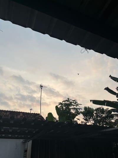 The image, when viewed in its intended vertical orientation, presents an upward-looking perspective towards a cloudy sky, framed by dark silhouettes of buildings and tropical vegetation. The soft, diffused lighting suggests either sunrise or sunset.

On the left, a dark corrugated metal roofline is visible, from which a small loop of rope or wire hangs. On the right, a tiled roof, made of terracotta, is prominent, featuring a television antenna mounted on it. Further to the right and top, the dark shapes of various trees, including broad banana leaves, are silhouetted against the sky. A utility pole with an antenna extends upwards into the frame from the right side.

A small bird is captured in flight in the upper-middle section of the pale, cloudy sky. The sky is mostly covered by light clouds, creating a serene and quiet atmosphere. No people are present. The architectural styles, tiled roof, and tropical foliage are consistent with the provided location context of Paweden, Indonesia. There is no visible text in the image.