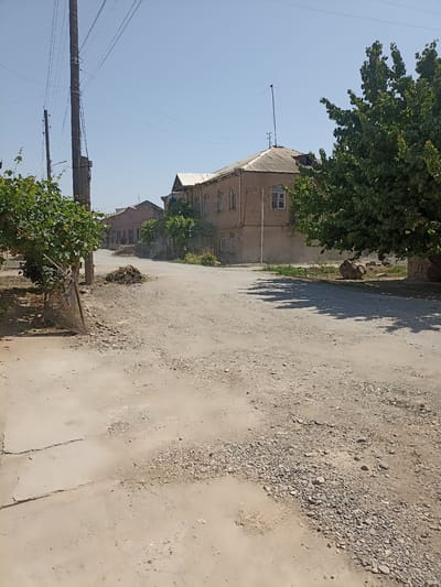 The image depicts a street scene in the city of Aygezard, Armenia. A dirt road, appearing worn and with patches of gravel, stretches into the distance, flanked by buildings on either side and mature trees. To the left, a large wooden utility pole with numerous wires is prominently visible, alongside a wire fence and a leafy vine. A pile of organic debris sits near the pole on the road. The buildings are low-rise, with older architectural features, and appear to be residential or commercial structures. Some have visible windows and rooflines. A large tree with dense green foliage dominates the right side of the frame, casting shadows on the road. The sky is clear and blue. The overall impression is one of a somewhat rural or older urban environment under daylight conditions.