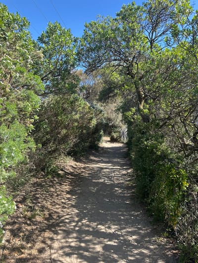 A winding, sun-dappled path cuts through dense greenery, appearing inviting and natural. Overhanging trees cast shadows on the sandy track, creating a pattern of light and shade. Lush shrubs line both sides of the trail, adding to the sense of enclosure. The path leads towards a distant structure, hinting at a destination amidst the tranquil setting. A clear blue sky contrasts with the rich foliage.