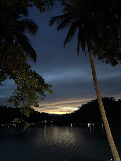 A serene twilight scene unfolds over a body of water, likely the Mekong River or a tributary in Luang Prabang, Laos, given the surrounding lush, dark hills and scattered lights. The sky is a gradient of deep blues and grays, transitioning to soft oranges and yellows near the horizon, hinting at the fading sun. Silhouetted palm trees frame the view from the left and right, their fronds dark against the dusky sky. On the far shore, the dark, forested hills are dotted with small, bright lights, possibly from homes or businesses. The water is dark and reflects these lights, creating shimmering streaks on its surface. The overall atmosphere is peaceful and tranquil, capturing the quiet beauty of a tropical evening. No people are visible in the image.