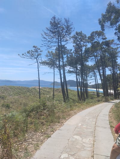 A scenic pathway made of flagstones and concrete curves to the right through a natural landscape. Pine trees with sparse foliage dominate the foreground, their trunks leaning at various angles. Beyond the trees, a body of water stretches towards a distant, hazy coastline under a clear blue sky with faint contrails. The vegetation is a mix of green grasses, ferns, and dry leaves. In the far distance, a small island or peninsula is visible, and a few boats are dotted on the water. The pathway appears to lead towards a beach area, with a wooden boardwalk and a small structure visible in the middle distance. A person wearing a red top and striped shorts is partially visible on the right side of the path, their legs and lower torso in the frame. The overall scene suggests a coastal hiking or walking trail in a natural park area.