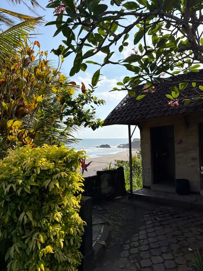 A sunlit, tropical scene captures a pathway leading to a small building beside the ocean in Selemadeg Barat, Indonesia. Lush, vibrant green foliage dominates the foreground, with a large, leafy bush on the left and the branches of a tree with green leaves and pink blossoms arching overhead. To the right, a simple, stone-tiled building with a dark, tiled roof is partially visible, with its entranceway in shadow. Beyond the building, a sandy beach stretches towards the ocean, where gentle waves break on the shore. In the distance, dark rock formations rise from the water. The sky is a clear, bright blue with a few wispy clouds. The ground in front of the building is paved with dark, irregular stones.