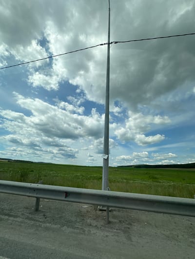The image depicts a roadside scene with a metal pole and a guardrail in the foreground. Behind the guardrail, a vast expanse of green fields stretches to the horizon, dotted with trees and under a cloudy sky. The scene appears to be located in the vicinity of Patrushi, Russia. There are no people visible in the image. The overall environment suggests an open, rural landscape.