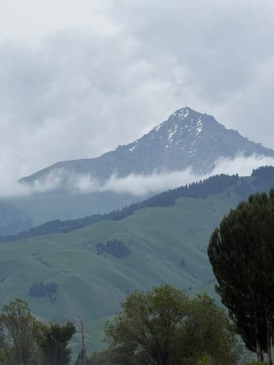A majestic mountain peak, partially dusted with snow, dominates the background of this outdoor scene. The mountain is shrouded in wisps of clouds that cling to its slopes, creating a dramatic and atmospheric effect. Below the peak, rolling green hills descend into a valley, dotted with patches of dark green coniferous trees. The terrain is rugged, with visible winding roads or trails etched into the hillsides. In the foreground, lush green trees, one notably tall and slender, frame the lower portion of the image, their dark foliage contrasting with the lighter green of the distant hills. The sky is overcast with a thick layer of grey clouds, indicating a muted or possibly rainy day. The overall impression is one of wild, untamed natural beauty. This landscape is located in the vicinity of Shabdan, Kyrgyzstan.