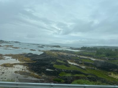 The image depicts a rocky shoreline with sparse green vegetation and patches of seaweed under a cloudy sky. In the distance, the ocean stretches towards a hazy horizon, with a few islands or landmasses visible. A metal guardrail is present in the foreground, suggesting the viewpoint is from a road or elevated pathway. The scene appears to be a natural, coastal landscape. There are no people, animals, or man-made structures other than the guardrail. The environment is characterized by dark, layered rocks, shallow water with submerged rocks, and a muted color palette dominated by grays, blues, and greens. The lighting is diffused due to the overcast conditions. The general impression is one of a rugged, undeveloped coastal area.
