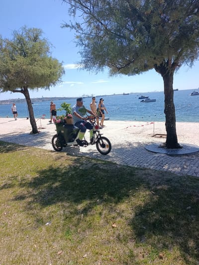 The image depicts a sunny day by a body of water, likely the Tagus River given the context of Grândola, Portugal. In the foreground, a man is riding a three-wheeled electric bicycle, which is laden with a basket of pink flowers and greenery. He wears a blue t-shirt, dark pants, and a blue baseball cap. The bicycle has a basket in the back, a front basket, and a decorative red bow on the front wheel.
The scene transitions to a paved walkway bordering a sandy beach, with the blue water stretching out to the horizon. Several boats, including what appear to be cargo ships and smaller vessels, are visible on the water. The sky is clear and bright blue, indicating fair weather.
In the background, several other people are present. To the left, a man in a white t-shirt and shorts walks near the water's edge. Further along the beach, two individuals, a man and a woman, are walking. The woman is wearing a blue bikini top and dark shorts, and the man is shirtless.
The environment is characterized by lush green grass in the foreground, with scattered leaves and dappled shade from trees. The trees themselves, with their sparse foliage, frame the scene and cast shadows on the ground. The walkway is paved with light-colored cobblestones. The overall atmosphere suggests a leisurely day at a waterfront location. There is no visible text in the image.