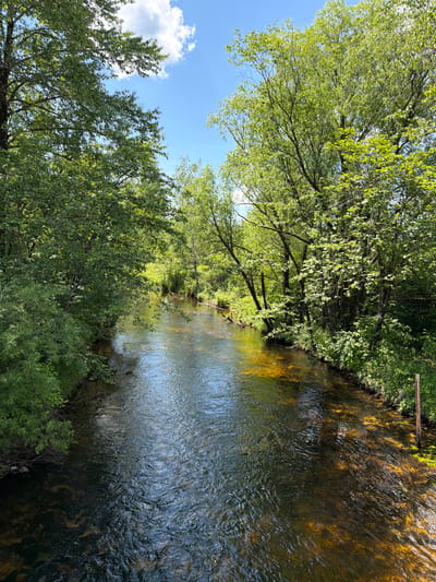A bright, clear day bathes a winding river in sunlight. Lush green trees line both banks, their branches reaching towards the sky, where a few white clouds drift against a brilliant blue backdrop. The river's surface is a tapestry of light and shadow, with ripples reflecting the surrounding foliage and the sky. The water is shallow enough in places to reveal the sandy, golden-brown bottom, interspersed with darker, submerged rocks and plant life. The scene suggests a tranquil natural environment, untouched and serene, in the city of Kuldur, Russia.