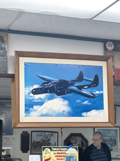 The image shows a framed picture of a dark-colored jet airplane flying against a blue sky with clouds. The plane has a number on its tail: 239728. To the right of the framed picture is a man with glasses wearing a striped shirt, partially visible. Next to him is a cardboard advertisement for "FEARLESS FOSDICK" hair products. Other objects are visible in the background including mirrors and other framed pictures.