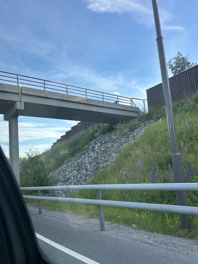 The media file shows an outdoor scene, likely a roadside, with a pedestrian overpass. The overpass is made of concrete with metal railings. The surrounding landscape features a grassy embankment with scattered rocks and wildflowers, including purple lupines. A paved road with a white line marking is visible to the right, bordered by a metal fence. The sky is blue with scattered white clouds, suggesting daytime with fair weather. The image is oriented sideways. No people or specific activities are depicted, creating a sense of a quiet, perhaps remote, location. The location cues of lupines and the general landscape suggest a northern European setting. No text is visible in the image.