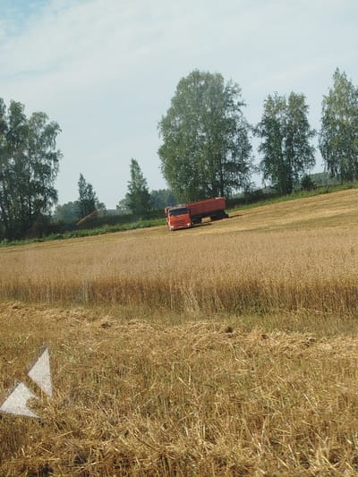 An orange truck with a red trailer is parked on a harvested wheat field under a hazy sky. Trees line the horizon behind the field. The field is covered in stubble and some remaining straw. Two white triangular markers are visible in the foreground of the field. The image appears to be taken in the village of Urozhayny, Russia.