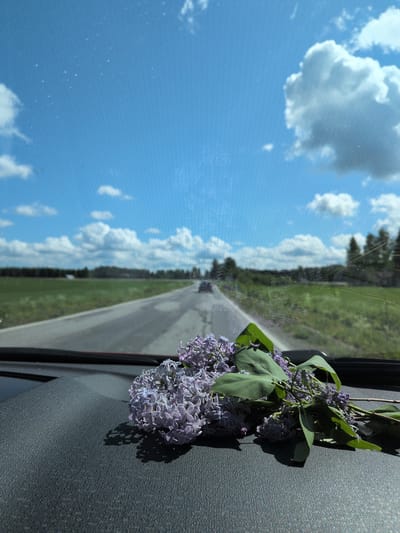 The image captures a driver's perspective from inside a vehicle, looking through the windshield at a rural road and landscape in Hartola, Finland. In the immediate foreground, a cluster of light purple lilac flowers with green leaves rests on the dark gray, textured dashboard, casting distinct shadows to the right. The dashboard surface exhibits a fine, irregular pattern.
The windshield, serving as a transparent medium, displays a faint, consistent wavy or hexagonal grid pattern across its surface, along with several small, bright specks. Beyond the windshield, a two-lane asphalt road recedes into the distance, appearing slightly damp or reflective in patches. The road is bordered by expansive green fields on both sides. A distinct line of dark green trees forms a horizon on the left side of the road, while on the right, more scattered trees and distant, indistinct structures are visible. At the furthest visible point on the road, one or more dark vehicles are present, moving away from the viewer.
The upper portion of the image is dominated by a bright blue sky, populated by multiple scattered white cumulus clouds of varying sizes.