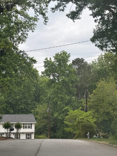 The image shows a residential street scene in Lilburn, United States. A two-story house with a gray roof and white siding is visible on the right side of the road. The house has black shutters and several windows. Two small trees are planted in front of the house. The road is paved and appears to be slightly damp. Overhanging trees form a canopy above the street. Utility poles and power lines are visible among the trees. A fire hydrant is present along the side of the road near the trees. The sky is overcast.