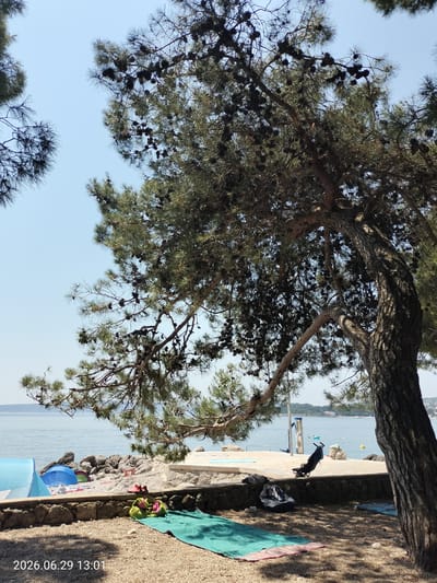 In Krk, Croatia, on a sunny day, a beach scene unfolds under the shade of a large pine tree. The foreground features a gravelly area with a teal blanket and a pink and green bag laid out, suggesting relaxation. Further back, on a rocky section of the beach, a blue tent and a smaller blue umbrella are set up. Two pairs of pink sandals are placed near the umbrella. A black baby stroller is positioned on a paved area overlooking the sea. The calm, blue water stretches out to the horizon, dotted with buoys and a distant boat. The sky is clear and blue. The timestamp "2026.06.29 13:01" is visible in the lower left corner.