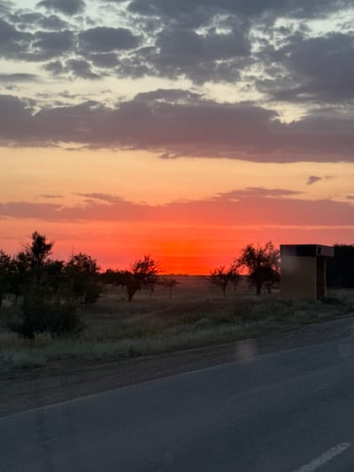 The image depicts a sunset scene in a rural area, likely near the city of Pugachev Aul District, Kazakhstan. The sky is dominated by vibrant orange and red hues from the setting sun, with streaks of pink and gray clouds above. In the foreground, a dark asphalt road curves through the frame. Beyond the road, a field of dry grass and sparse trees stretches into the distance. A small, brick structure with a dark roof is visible on the right side of the frame, amidst the trees. The overall impression is one of a quiet, open landscape at dusk.
