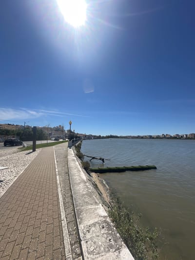 The image shows a waterfront view in Seixal, Portugal. The scene includes a sidewalk paved with bricks and cobblestones, a concrete barrier separating the sidewalk from the Tagus River, and a view of buildings and streets on the opposite side of the river.
The Tagus River flows along the side of the image, with a green protective barrier along the edge. The clear blue sky fills most of the top of the image, with bright sunlight on the left. Cars are parked along the street adjacent to the sidewalk, and there are street lights and trees. The picture is taken during a bright, sunny day.