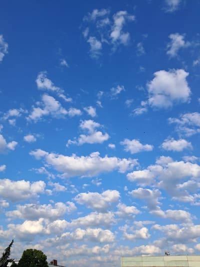 This is a photograph taken from a low angle, looking up at a bright blue sky filled with scattered white cumulus clouds. The clouds are varied in size and shape, with some appearing fluffy and well-defined, while others are wispy and translucent. In the upper central portion of the sky, there are four small dark specks that appear to be birds in flight. The lower portion of the image shows the rooftops of buildings and the tops of trees, suggesting an urban or suburban setting. Specifically, this scene is located in Kamenka, Moldova. The overall impression is one of a clear day with pleasant weather, suitable for outdoor activities.