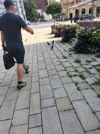 This media file depicts a street scene in Pardubice, Czechia, under what appears to be sunny daylight. A man wearing a dark blue t-shirt, denim shorts, a black baseball cap, and green and orange sneakers is walking away from the camera, carrying a black bag in his left hand. His right hand is extended slightly forward, possibly interacting with the birds on the ground.
The setting is a paved pedestrian area with square gray tiles, interspersed with small patches of grass and weeds. In the background, a building with a yellow facade and arched windows is visible, with a "McDonald's" sign prominently displayed. Other elements in the background include a blue car, a stage, and people sitting at tables under a green awning. Further back, a building with a red-tiled roof and trees can be seen.
Several birds, appearing to be crows or similar dark birds, are scattered on the pavement around the man's feet. One pigeon is also visible near a large planter box filled with vibrant pink, purple, and white flowers. The presence of flowers suggests a well-maintained public space, possibly a town square or promenade. The overall atmosphere seems relaxed and casual, with people engaged in everyday activities. The sunlight casts distinct shadows on the pavement, indicating a bright and clear day. There is a directional sign with red text pointing to the right that is partially obscured by a pole.