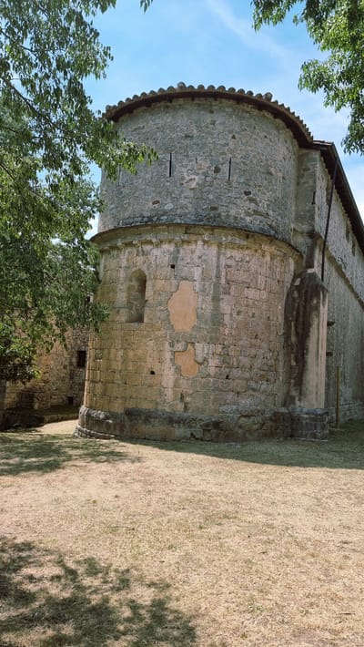 The image shows the apse of a stone church, likely the Church of Sant Mateu, located in Sales de Llierca, Spain. The apse is circular and constructed from large, rough-hewn stones. It has a tiled roof. Several small, narrow openings are visible on the upper part of the apse. There is a small, arched window higher up on the curved wall, and some areas of exposed plaster are visible on the stone. The base of the apse is built on a lower stone foundation. To the left and behind the apse, another stone building with a window is partially visible. The church is surrounded by dry, golden grass, with dappled shadows from trees cast across the foreground. Green foliage from trees frames the top of the image. The sky is blue with some scattered white clouds. The scene is static and depicts an exterior view of the historical church structure.