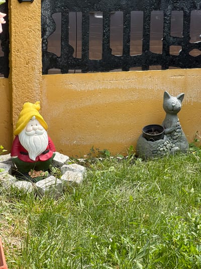 In the city of Ruse, Bulgaria, a garden scene is depicted with a yellow wall as the backdrop. To the left, a gnome statue with a red coat, green pants, and a yellow hat stands amidst scattered grey stones and some greenery. In the center-right, a grey cat statue is positioned, holding a small black pot with a plant in it. The statues are placed on a grassy area. Behind them, a black fence with irregularly shaped openings is visible. The overall scene suggests an outdoor decorative garden setting.