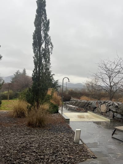 The scene depicts an outdoor leisure area situated in Ribeauvillé, France, under an overcast grey sky. The foreground on the left features a ground cover of coarse grey and brown gravel. A tall, slender conifer tree dominates the left midground, flanked by lower evergreen shrubs and several clumps of dry, golden-brown ornamental grasses. To the right, a wet, irregular grey flagstone patio extends. A short, silver-colored columnar light fixture is positioned on the edge of this patio. Further back, a curved, stainless steel outdoor shower stands over a small, rectangular tiled basin, which contains standing water. Adjacent to this, a row of five unoccupied grey mesh lounge chairs is arranged. A low, dry-stacked stone wall constructed from large, irregular grey and brown rocks forms a boundary along the right side. The background reveals a natural landscape consisting of bare deciduous trees and evergreens, with distant hills or mountains visible beneath the cloudy sky, exhibiting patches of snow at higher elevations. No individuals or animals are present. Wet surfaces throughout the scene indicate recent precipitation.