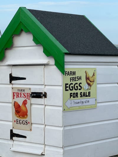 The image shows a rustic, white wooden shed with a dark grey, textured roof. A vibrant green trim outlines the edge of the roof and also runs along the decorative scalloped edge of the shed's facade. Two signs advertising "FARM FRESH EGGS FOR SALE" are visible on the shed's white-paneled wall. The top sign, a light yellow rectangular plaque, features a drawing of a hen sitting on a nest of eggs. The text reads "FARM FRESH EGGS FOR SALE" in bold black letters, with a handwritten note below indicating "½ Dozen Eggs - €3.00". A white arrow points to the price. The bottom sign is a similar design, featuring a hen in a nest and the text "FARM FRESH EGGS" in red, with star accents. Both signs are attached to the shed with metal fasteners. Black metal hinges are also visible on the shed's panels. The overall scene suggests a rural setting, possibly a farm stand or a small roadside business. The lighting suggests it could be daytime, with the bright white of the shed indicating good visibility. The background is a pale blue sky. The image is taken at an angle, looking up at the shed.
