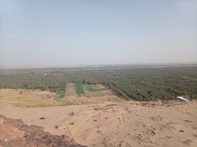 This panoramic image, likely taken from a high vantage point, showcases the dramatic landscape of Karima, Sudan, at the intersection of arid desert and a fertile river valley.

In the immediate foreground, rugged, reddish-brown rocky terrain suggests the elevated position of the photographer. Below this, sandy desert stretches outwards, dotted with sparse, small shrubs and some low, eroded structures or archaeological remains.

The midground transitions into a vibrant green strip, densely populated with numerous palm trees, likely date palms, indicating a rich oasis or extensive cultivation along a water source. Within this green expanse, several neatly arranged rectangular plots of active cultivation are visible, showcasing irrigated farming. Towards the right, a modern-looking building with a light-colored roof is situated at the edge of the palm groves, possibly an agricultural facility.

Beyond the fertile strip, a wide river, likely the Nile, flows across the middle of the frame. On the far bank of the river, another band of green vegetation is discernible, followed by a distant urban or semi-urban settlement with numerous buildings, fading into the hazy horizon.

The sky is a uniform, pale blue, suggesting daytime, possibly late morning or early afternoon, with a characteristic atmospheric haze common to desert regions. No people or visible text are present. The scene highlights the stark contrast between the life-giving river and the surrounding desert, and evidence of historical and ongoing human settlement and agriculture in this unique environment.