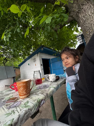 The image depicts a young girl, likely a toddler, looking towards the camera with a curious expression. She is wearing a light blue and grey hooded jacket with a black sleeve. Her head and torso are visible, and she appears to be leaning over a table.

The setting is outdoors, with lush green foliage of a tree dominating the left side of the frame. Behind the girl is a small, rustic building with white walls and blue-painted window shutters. The building has a somewhat weathered appearance.

On the table in front of the girl, several objects are visible. These include a white mug with black bird designs, a glass jar, and a red jar or bottle. Further along the table, a brown mug with the word "Coffee" in a stylized font is prominently displayed, alongside a small box that appears to be a pack of matches. The table is covered with a tablecloth featuring a floral pattern in shades of grey, white, and purple.

The lighting suggests it might be daytime, possibly overcast, as there are no strong shadows. The overall mood is casual and candid, capturing a moment of everyday life. The presence of the building and the natural greenery hint at a rural or semi-rural location, consistent with the provided location context of Novyi Tahamlyk, Ukraine.