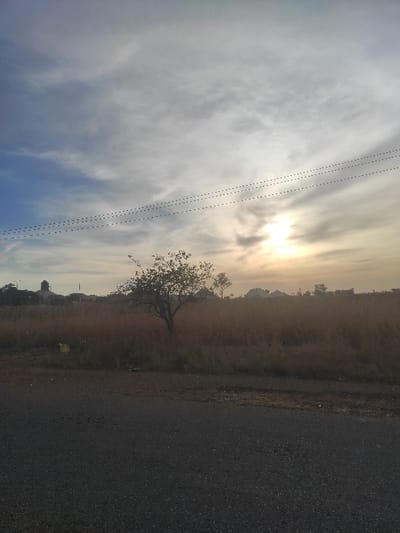 The image, captured in Heipang, Nigeria, presents a serene rural landscape, likely at either sunrise or sunset, characterized by warm, golden light. A dark, paved road occupies the right side of the frame, bordered by a wide strip of dry, yellowish-brown tall grass and weeds, suggesting a dry season.

In the mid-ground, a solitary, medium-sized tree with dark, irregularly shaped foliage stands out, silhouetted against the bright sky. Its branches appear somewhat gnarled. Beyond the field and the tree, the distant horizon reveals soft outlines of low hills or mountains, partially obscured by atmospheric haze.

The sky dominates the upper portion of the image, showcasing a blend of bright, wispy clouds and visible patches of clear blue sky, particularly towards the bottom left. The sun, a brilliant point of light, is breaking through the clouds in the upper-right, casting a warm glow over the entire scene. Several thin, dark, dotted lines, likely power or telephone lines, traverse the sky diagonally.

There are no people or specific activities depicted, emphasizing the natural tranquility of the rural environment. No visible text or prominent landmarks are present, conveying a general sense of a quiet, natural expanse.