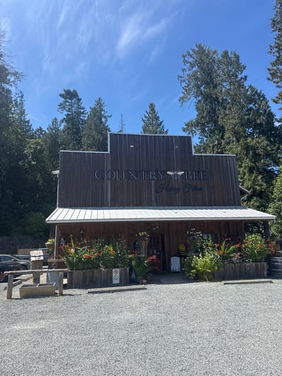 The image shows the exterior of a wooden building with the words "COUNTRY BEE Honey Farm" prominently displayed. A large bee graphic is integrated into the lettering. The building has a rustic appearance with vertical wooden planks and a corrugated metal roof overhang. In front of the building, there are planters filled with red and green flowers, and a covered porch area. To the left of the building, there are some cars parked on a gravel lot. A sign with a parking symbol and a wheelchair accessible symbol is visible near the planters. In the background, there are numerous tall evergreen trees. The sky is blue with wispy white clouds. Based on the signage, this is the Country Bee Honey Farm located in Central Saanich, Canada.