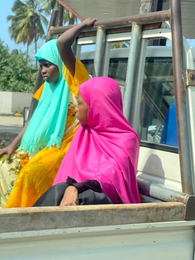 Two individuals are observed seated in the open bed of a white pickup truck in Nungwi, Tanzania. The subject in the foreground, positioned right of center, wears a vibrant pink hijab over dark clothing, with their right hand visible. Their gaze is directed towards the right of the frame, slightly downward. The second subject, partially obscured behind and to the left of the first, wears a bright yellow garment under a light blue or teal hijab with a scalloped edge. This individual holds onto a rusty metal bar structure above them with their right arm, and their gaze is directed forward. Behind the subjects and the vehicle, multiple tall palm trees and other green foliage are visible under a clear, bright sky, suggesting an outdoor, sunny environment. The rear cab windows of the pickup truck are visible, reflecting parts of the surroundings. The metal bars forming a frame over the truck bed show signs of wear and rust.