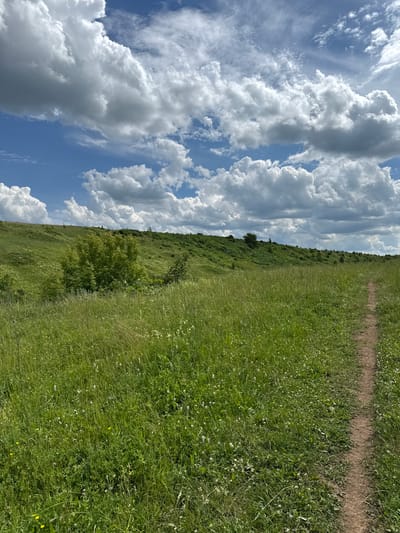 A dirt path winds through a lush green meadow under a bright blue sky dotted with fluffy white clouds. The meadow is covered in tall grass and wildflowers, with a gentle hill rising in the background. A small cluster of trees is visible on the slope of the hill, and the terrain continues to undulate into the distance. The scene depicts a serene natural landscape, likely in the outskirts or rural area of a settlement, given the presence of a defined path suggesting human activity. The overall impression is one of a peaceful, sunny day in a natural setting, possibly a park or open countryside near the city of Kalinino, Russia.