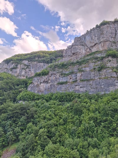 The image shows a vertical view of a cliff face in Zasele, Bulgaria. The cliff is composed of layered grey rock with vegetation clinging to its surface. A dense forest of green trees extends along the base and right side of the cliff. The sky, visible to the left, is blue with scattered white clouds.