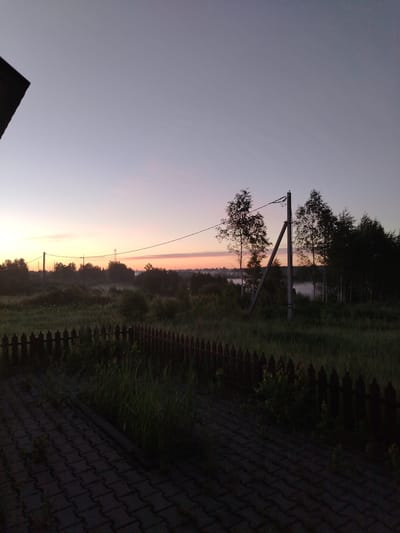 The image depicts an outdoor, rural or semi-rural landscape scene during twilight, likely sunrise, in Petrovskoye, Russia. The sky transitions from a band of soft pink and orange hues at the eastern horizon to a muted grey-purple overhead. Low light conditions prevail, casting soft, elongated shadows and muting colors across the scene.

In the foreground, a dark-toned paved surface, composed of interlocking rectangular pavers, occupies the bottom quarter of the frame. Adjacent to this paving, a strip of overgrown grass and weeds is present. A dark-stained wooden picket fence, featuring pointed top pickets, spans the width of the image horizontally, separating the immediate foreground from the mid-ground.

Beyond the fence, a field of wild vegetation, primarily tall grasses and bushes, appears in muted green tones. Two utility poles are centrally located in the mid-ground. One is a vertical concrete or wooden pole, and the other is a diagonal support brace leaning against it. An electrical wire extends horizontally from these poles towards the left, where it connects to another distant utility pole. A small, dark avian creature is perched atop the main vertical utility pole. Several deciduous trees, characterized by slender trunks and sparse foliage, are scattered behind and around the utility poles, appearing silhouetted against the lighter sky.

The background reveals a distant treeline partially obscured by a prominent layer of low-lying mist or fog, presenting a lighter, diffused appearance, indicative of cooler, moist air near the ground. This mist is particularly noticeable in the lower sections of the distant landscape. The upper-left corner of the image includes a dark, angled structure, consistent with an architectural overhang or roof element, indicating the vantage point of the photographer.