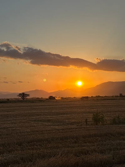 An agricultural field, likely harvested, stretches across the foreground under a sunset sky. The sky is a gradient of pale blue at the top to a vibrant orange near the horizon, with streaks of clouds catching the light. In the middle ground, a lone tree stands on the left, silhouetted against the glowing sky. To its right, a combine harvester is actively working, kicking up dust, and another piece of farm equipment is visible further to the right. The background features a series of layered mountain ranges fading into the distance. The overall scene suggests the end of a day's work in the rural outskirts of Blatets, Bulgaria.
