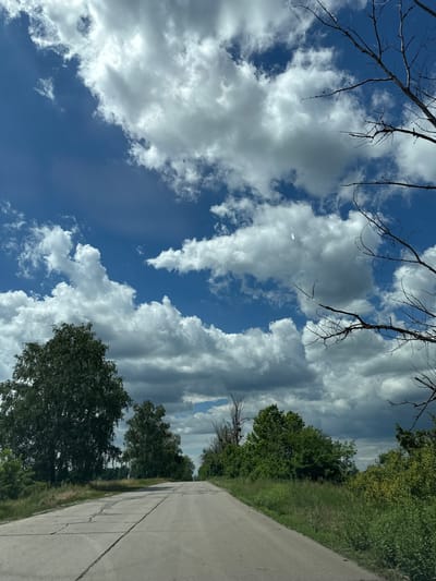 An asphalt road, cracked in sections, stretches towards the horizon under a vast, partly cloudy blue sky. Lush green vegetation flanks both sides of the road, with trees forming a dense line in the distance. In the foreground, a large deciduous tree stands to the left, while a dead, bare-branched tree is visible on the right, silhouetted against the sky. The scene appears to be on the outskirts of Stara Vodolaha, Ukraine, during daylight hours.
