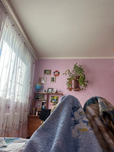 The image depicts a bedroom interior, likely in Rasskazovo, Russia, viewed from a low angle, possibly from a bed. A window covered with sheer curtains featuring a butterfly motif is visible on the left, allowing natural light to illuminate the room. The walls are painted a light pink, and decorative elements such as framed pictures and a globe are displayed on shelves and a dresser. A potted plant sits on a wall-mounted shelf. Two blankets, one blue with floral patterns and another with a brown and blue design, are prominent in the foreground, obscuring the lower portion of the scene and suggesting the presence of people. The room appears lived-in and personal.