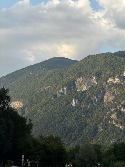 This media file displays a scenic view of a densely forested mountain face under a partly cloudy sky. The mountain is covered in lush green trees, with patches of exposed rock and scree visible on its slopes. The sky is a mixture of bright blue and soft, white clouds, suggesting a pleasant, possibly late afternoon, day. The image is oriented vertically, with the mountain occupying the right two-thirds and the sky the left third.
In the foreground on the right side, there is a cluster of dark green trees. Partially obscured by these trees, and to the right of the mountain, are elements of what appears to be roadside infrastructure. A white sign with black markings, including the number "50," is visible, likely indicating a speed limit. Below this, there are signs and possibly lights associated with a street or pedestrian crossing.
The overall impression is one of natural beauty and tranquility, with a hint of human presence indicated by the roadside elements. The lighting suggests the sun is casting a warm glow on the scene, likely during the golden hour. The location context of Novalaise, France, evokes a European mountainous landscape. No people are directly visible in the media file.