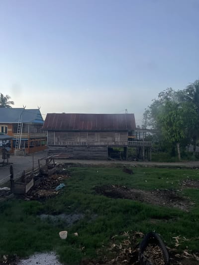 The image depicts a rural scene, possibly in the city of Turumame, Indonesia, during what appears to be early morning or late evening due to the soft lighting and clear sky. In the foreground, there is a patch of overgrown green grass with some muddy areas and debris scattered about, including dried corn husks in a black container and a white bucket. A brown animal, possibly a cow or a water buffalo, is lying down in the grassy area.

Behind the grass, there are wooden structures. To the left, a series of fenced enclosures, likely for livestock, are visible. To the right, a weathered, wooden house on stilts dominates the mid-ground. This house has a corrugated metal roof and wooden shutters. A wooden porch with railings extends from the front of the house.

Further in the background, another multi-story building with a blue roof and ornate detailing is visible. A white ladder leans against its side. Palm trees and other lush green foliage frame the scene, suggesting a tropical environment. The overall impression is one of a simple, rustic settlement.