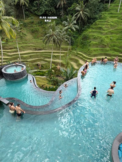 Captured from an elevated perspective, the photograph showcases the Alas Harum Bali complex situated in Tegal Suci, Indonesia. The scene is a blend of natural landscape and constructed recreational elements.
The left side of the image features vibrant green rice terraces alongside lush tropical vegetation including palm trees, adjacent to a large vertically oriented sign reading "ALAS HARUM BALI".
On the right, a multi-tiered swimming pool complex in light blue dominates the scene. Groups of people are seen swimming and relaxing in different sections of the pool. Some are lounging near the edge, while others are actively swimming in the open water. A circular hot tub contains multiple individuals. The water's surface is textured with subtle ripples.