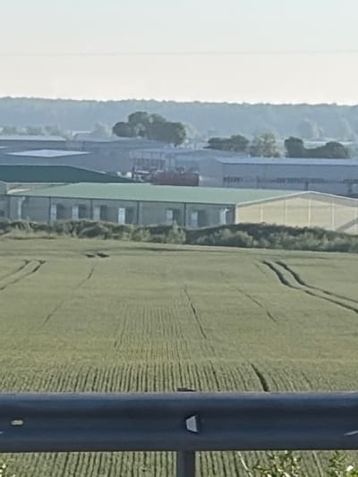 A long-shot, eye-level, vertical outdoor photograph captures a rural industrial landscape with a field in the foreground. The field is green and appears to be cultivated with rows of crops, possibly wheat, with tire tracks visible. In the mid-ground, several large industrial buildings with green roofs are visible. These buildings have light-colored walls and appear to be warehouses or factories. Behind these buildings, a treeline separates them from a hazy sky. The overall scene suggests an agricultural or industrial area on the outskirts of Borskoe, Russia.