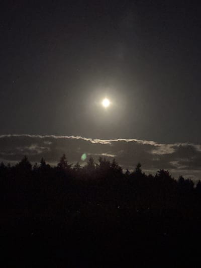 The image depicts a nighttime scene with a bright full moon positioned in the upper center of the frame. Below the moon, a horizontal band of clouds is visible, illuminated by the moonlight. The lower portion of the image is dominated by the dark silhouette of a dense forest, with the tops of numerous evergreen trees forming a jagged skyline against the sky. The overall impression is one of a natural landscape at night. This scene is located in Krautscheid, Germany.