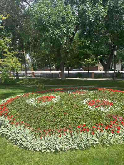 The image shows a flowerbed with red and white flowers, edged with silver foliage plants, adjacent to a strip of green grass in Kashgar mahalla, Uzbekistan. A sidewalk runs alongside the grass strip, separated by a low, decorative metal fence. Beyond the fence, buildings and trees are visible. The scene is bathed in sunlight, casting shadows.