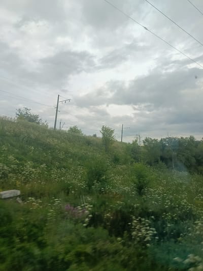 The image depicts a gently sloping hillside covered in lush green vegetation and numerous small white flowers. Several trees are scattered across the hillside, and a few power line poles with overhead wires are visible against a cloudy sky. The scene is captured from a moving perspective, indicated by the slight blurriness of the foreground. A concrete structure or embankment is partially visible on the left side of the frame. The overall impression is of a natural landscape alongside infrastructure, possibly a rural or semi-rural area on the outskirts of a city. Without specific landmarks, the exact location in Michurinsk, Russia cannot be definitively identified from the image alone.
