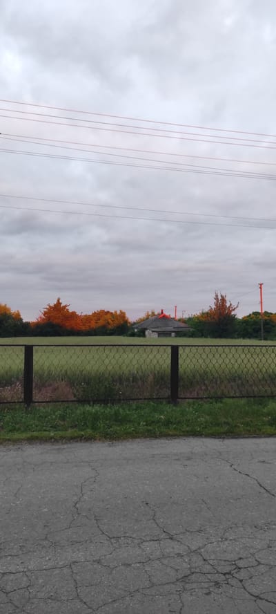 The image shows a view of a rural scene, likely in Kobeliachok, Ukraine, at dusk. In the foreground, a cracked asphalt road is visible, leading into a grassy area. A dark metal chain-link fence runs horizontally across the middle of the frame, separating the road from a field of green grass with some wildflowers. Beyond the field, a line of trees with autumnal foliage, some illuminated with a warm, orange glow from the setting sun, forms a backdrop. In the distance, a small, stone building with a dark roof and a bright red chimney or decorative element is visible amongst the trees. Several utility poles with wires are also present in the background, some with red elements on them. The sky is overcast with gray clouds, suggesting the end of the day. There are no people or animals in the image.